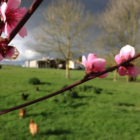 La Roche Parthenay Farm Alojamento de Acomodação e Pequeno-almoço *